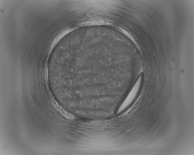 X0000071861179200607290150