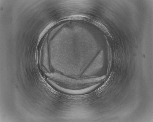 X0000071861180200607290150