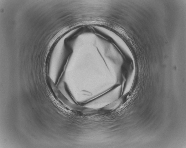 X0000071861181200607290150