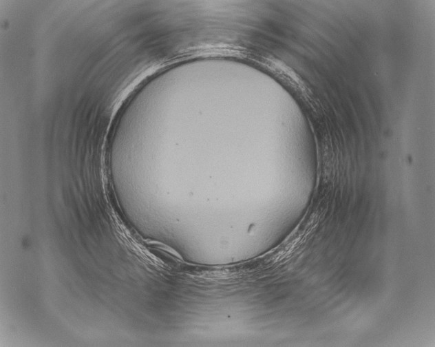 X0000071861182200607290150