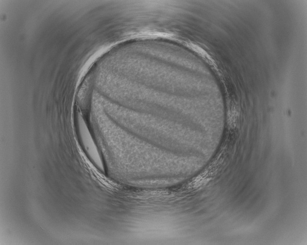 X0000071861183200607290150