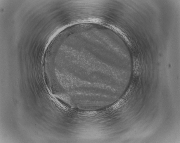 X0000071861184200607290150