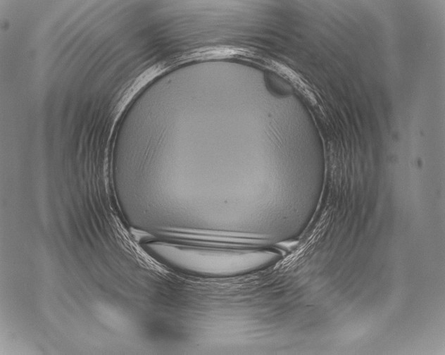 X0000071861186200607290150