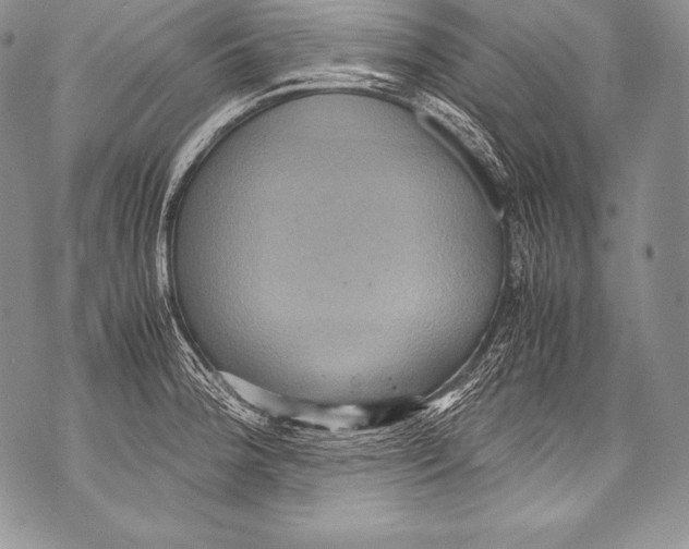 X0000071861188200607290150