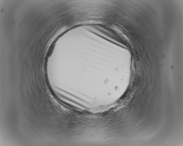 X0000071861189200607290149