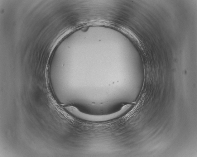 X0000071861190200607290149