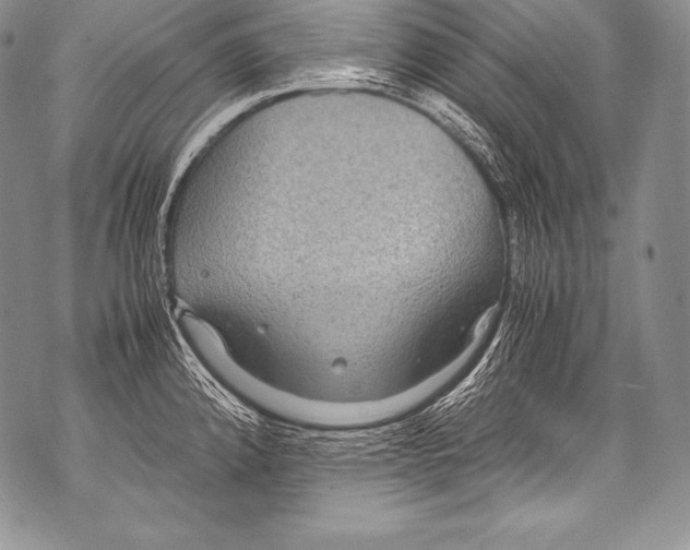 X0000071861192200607290149