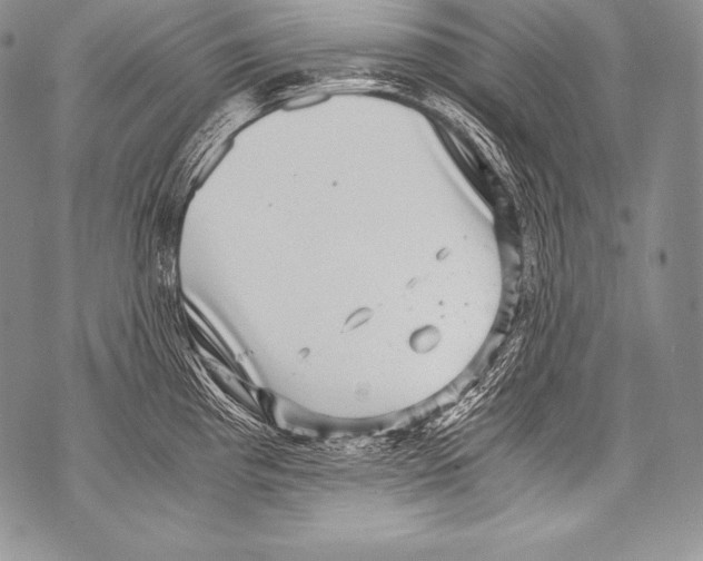 X0000071861193200607290149