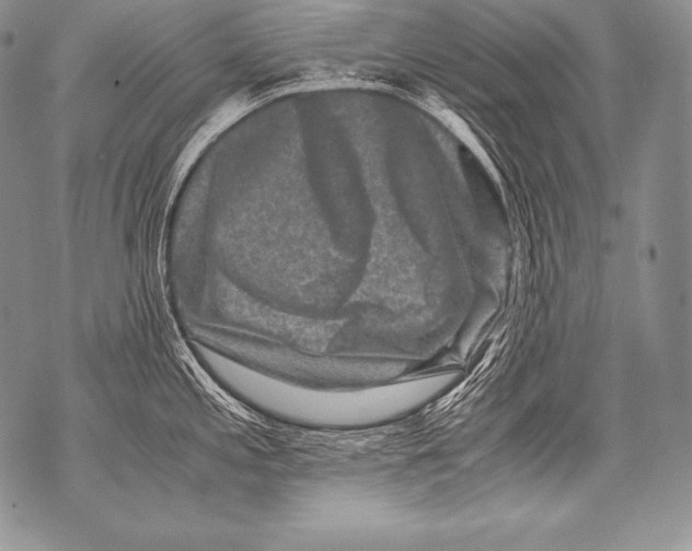 X0000071861197200607290149