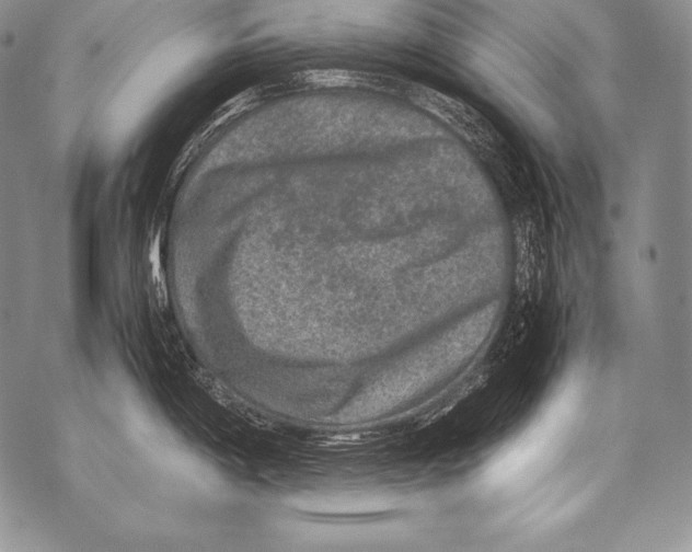 X0000071861198200607290149