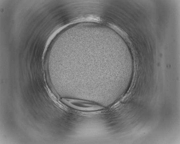 X0000071861200200607290149