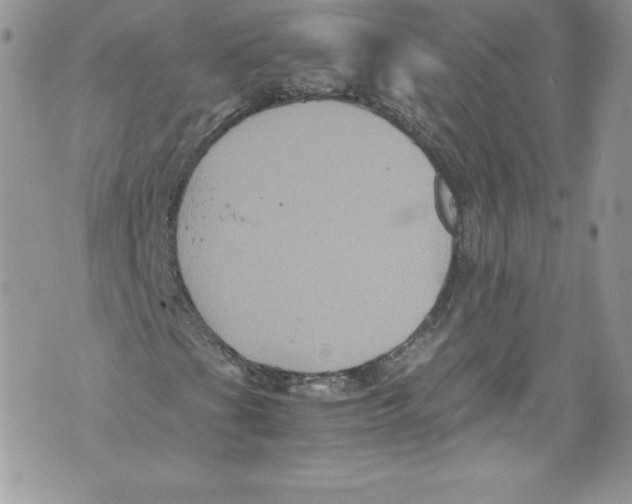 X0000071861201200607290149