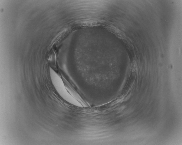 X0000071861202200607290149