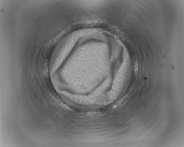 X0000071861204200607290149