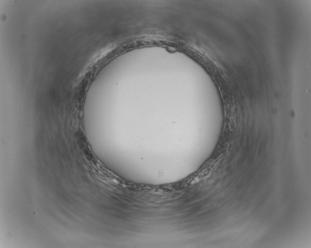 X0000071861207200607290149