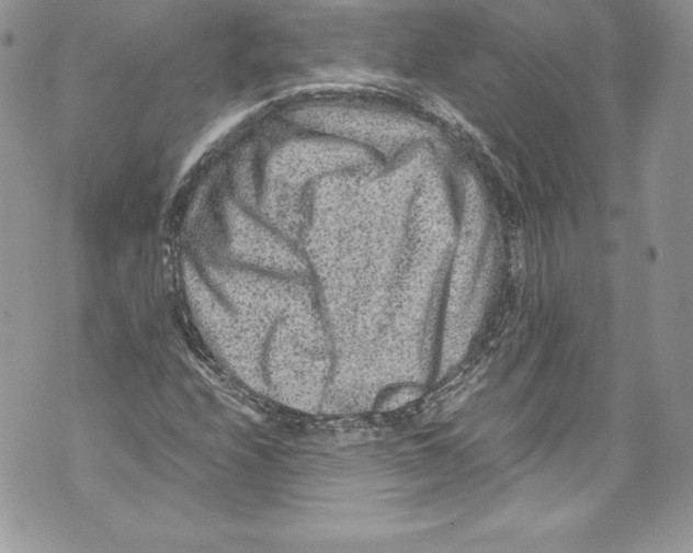 X0000071861208200607290149