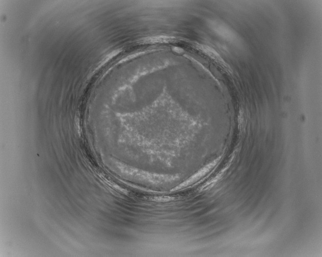 X0000071861209200607290149