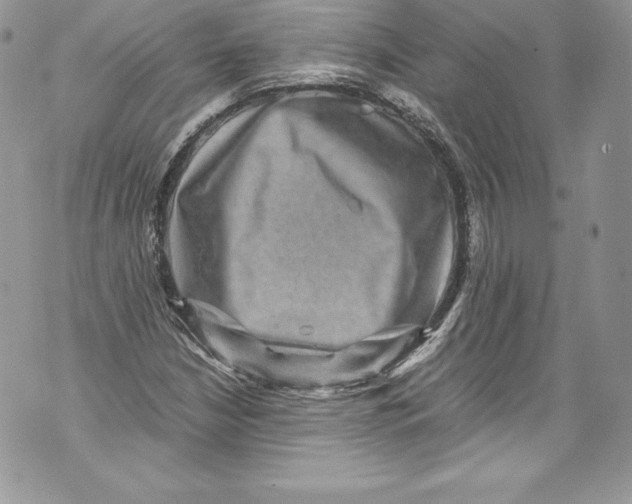 X0000071861210200607290149