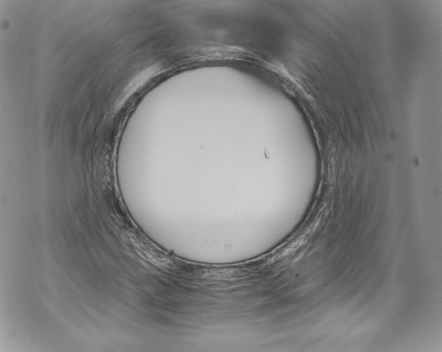 X0000071861211200607290149