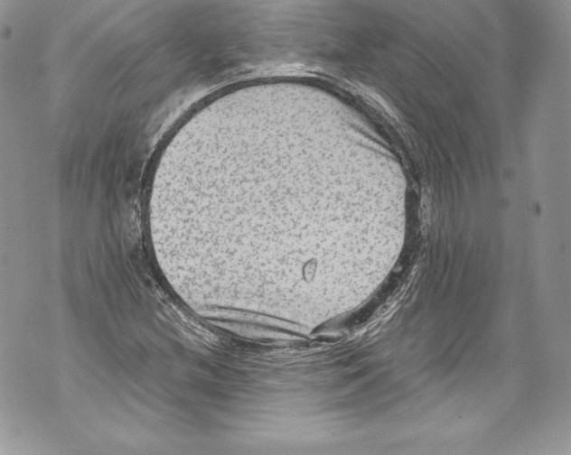 X0000071861212200607290149