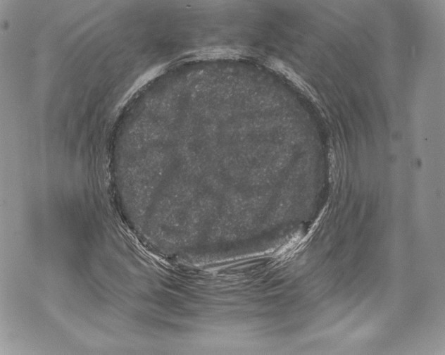 X0000071861213200607290149