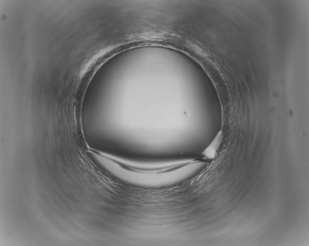 X0000071861214200607290149