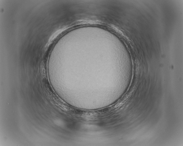 X0000071861215200607290149