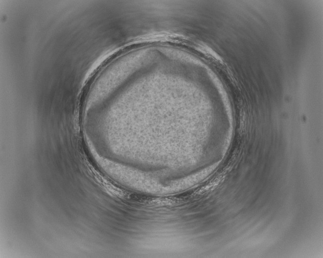 X0000071861216200607290149