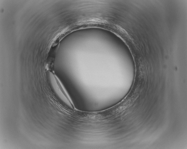 X0000071861218200607290149