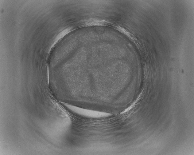 X0000071861219200607290149