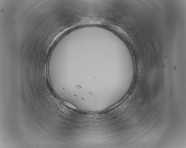 X0000071861220200607290149