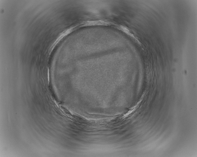 X0000071861221200607290149