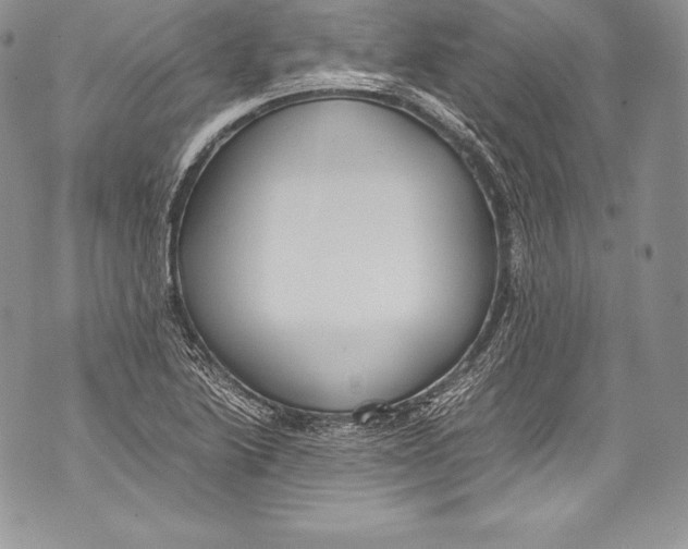 X0000071861222200607290149