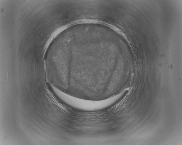 X0000071861223200607290149