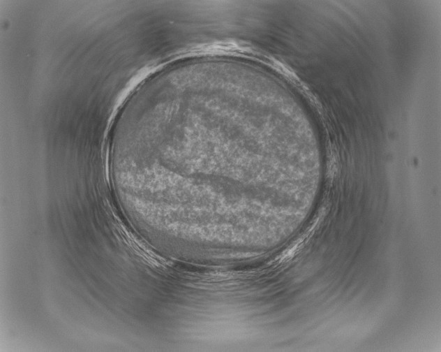 X0000071861224200607290149