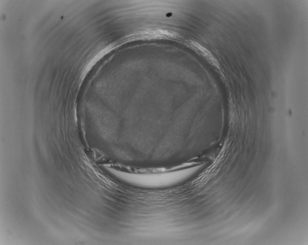 X0000071861226200607290149