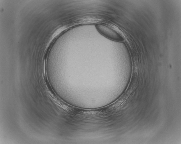 X0000071861227200607290149