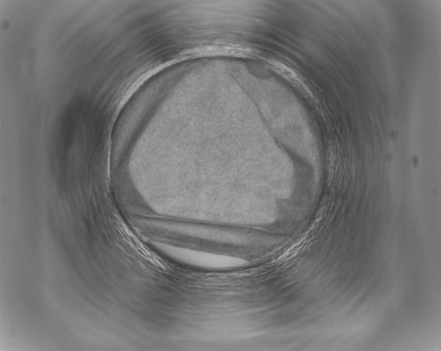 X0000071861228200607290149