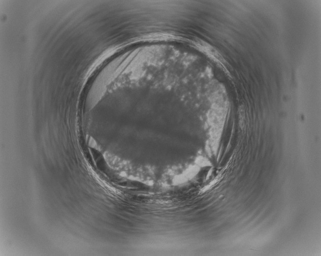 X0000071861229200607290149