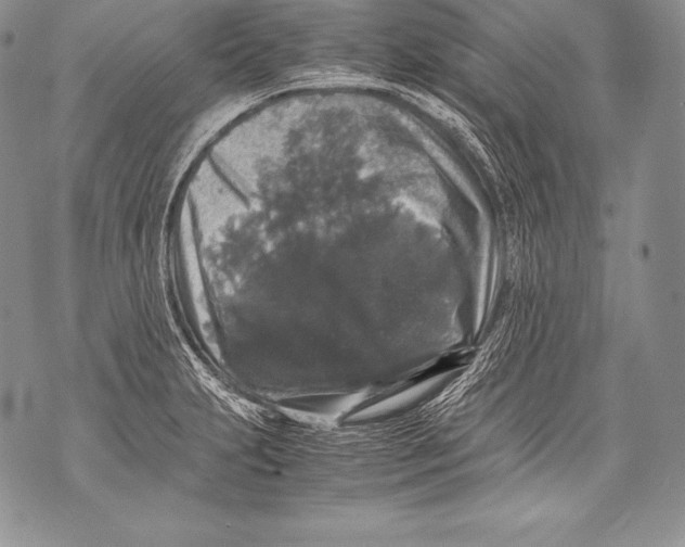 X0000071861231200607290149