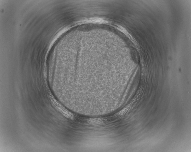 X0000071861232200607290149