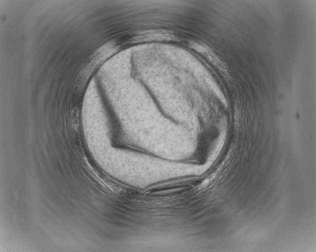 X0000071861233200607290149