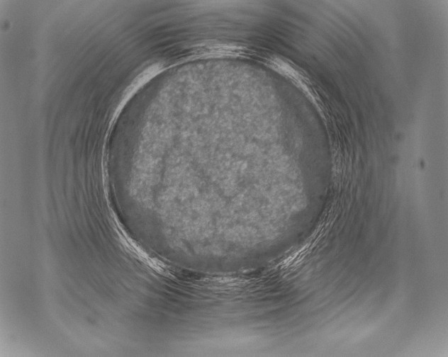 X0000071861235200607290149