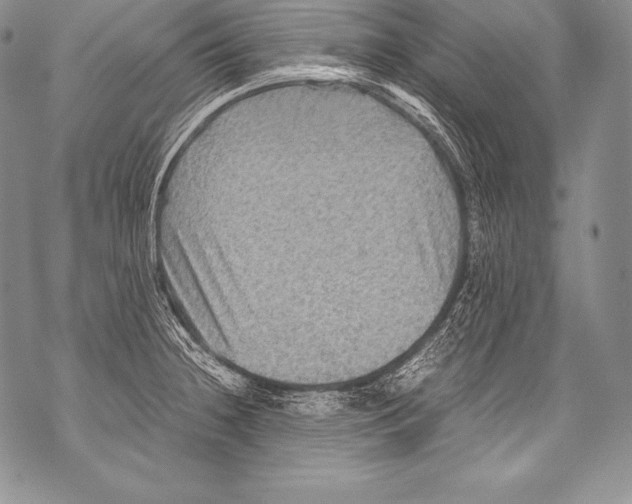 X0000071861236200607290149