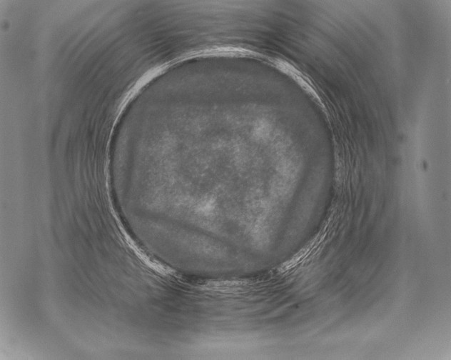 X0000071861237200607290149