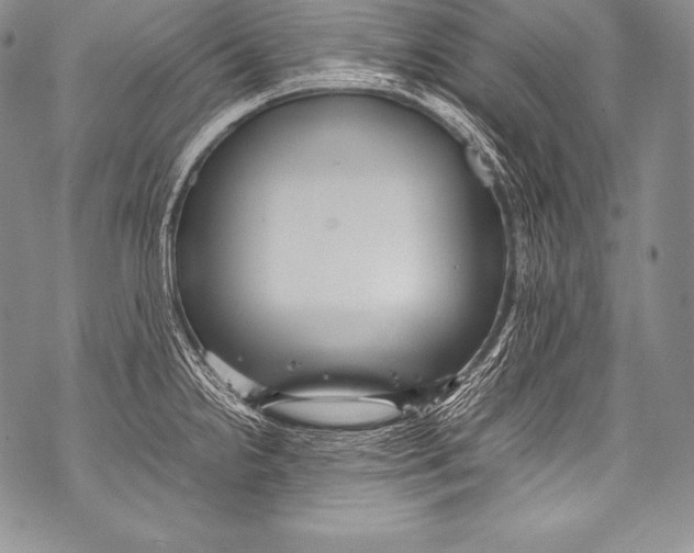 X0000071861238200607290149