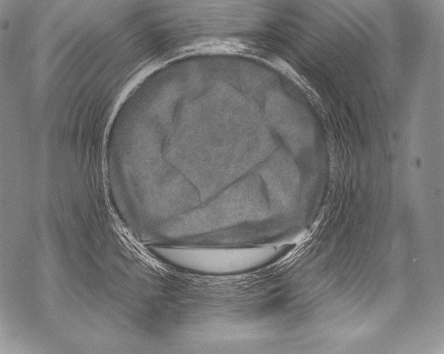 X0000071861240200607290149