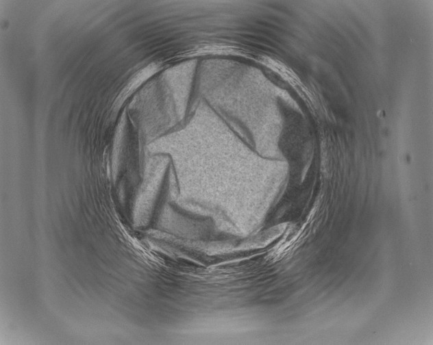 X0000071861241200607290149