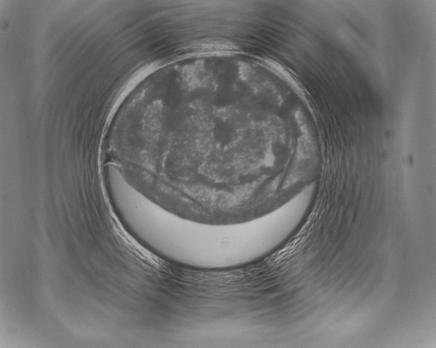 X0000071861243200607290149