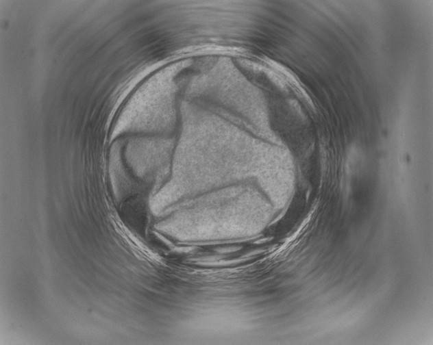 X0000071861244200607290149